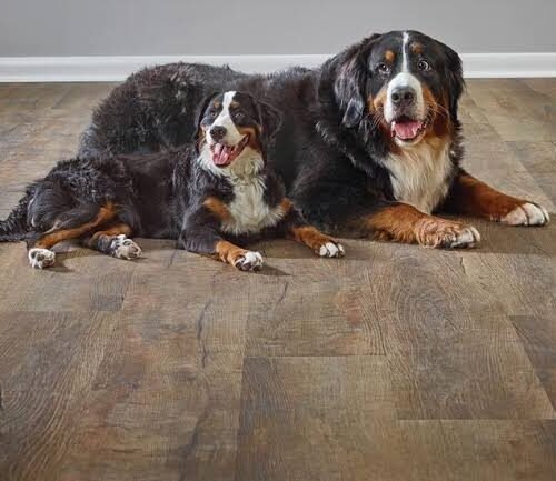 best flooring for pets