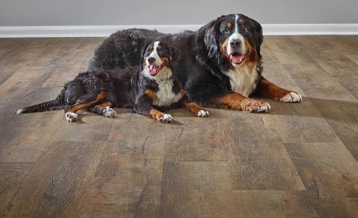 best flooring for pets