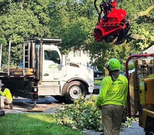 crane services