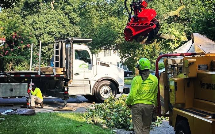 crane services